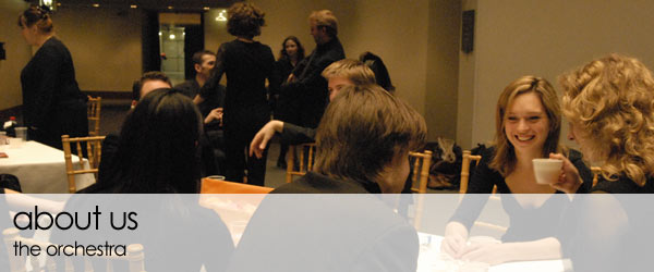 manning camerata orchestra